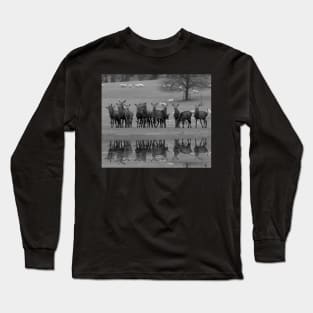 red deer by the water Long Sleeve T-Shirt